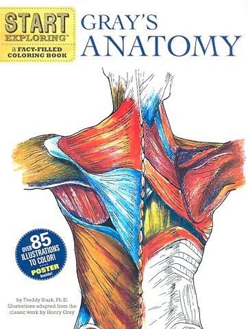 Start Exploring: Gray's Anatomy