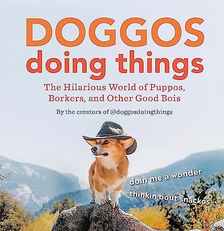Doggos Doing Things