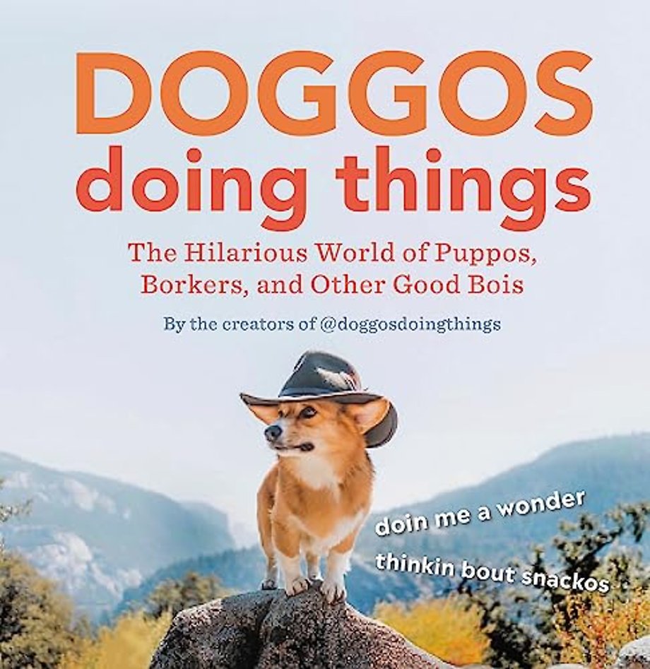 Doggos Doing Things