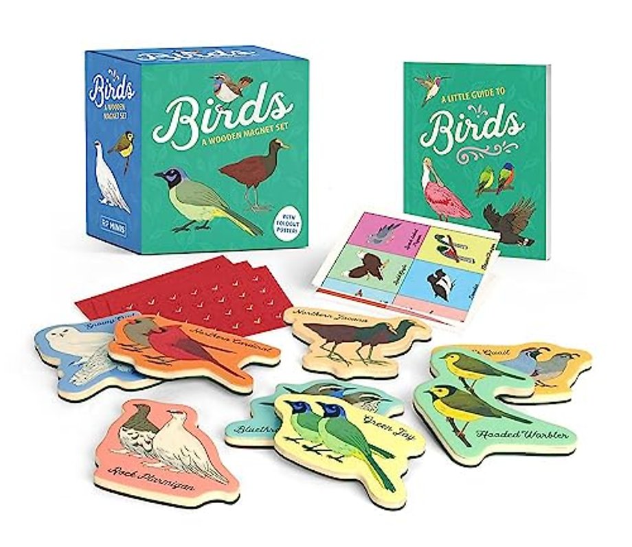 Birds: A Wooden Magnet Set [With Poster and Magnet(s)]