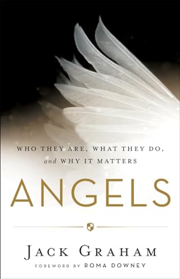 Angels – Who They Are, What They Do, and Why It Matters