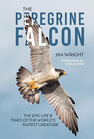 The Peregrine Falcon
