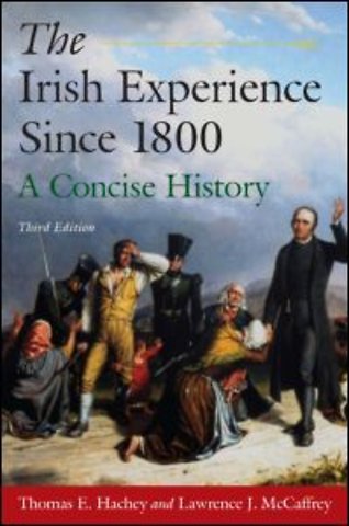 Irish Experience Since 1800: A Concise History