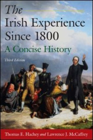 Irish Experience Since 1800: A Concise History