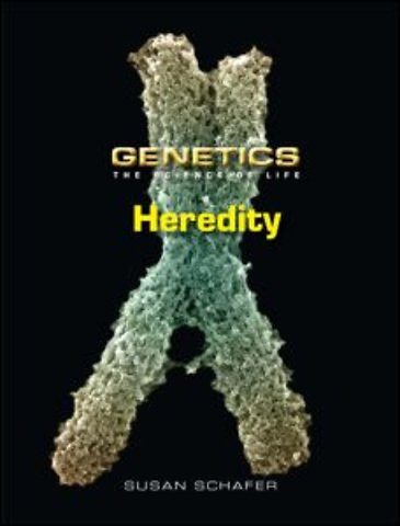 Heredity