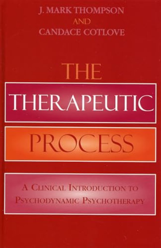 The Therapeutic Process