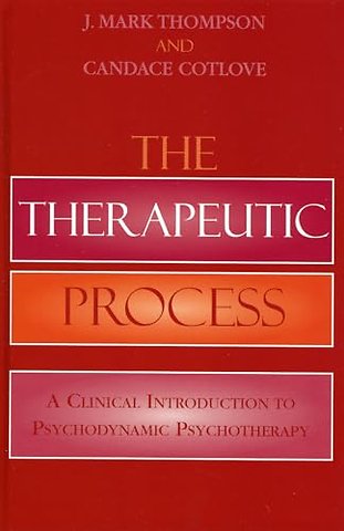 The Therapeutic Process