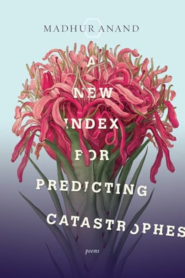 A New Index for Predicting Catastrophes