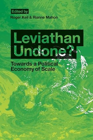 Leviathan Undone? – Towards a Political Economy of Scale