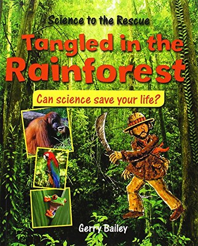 Tangled in the Rainforest