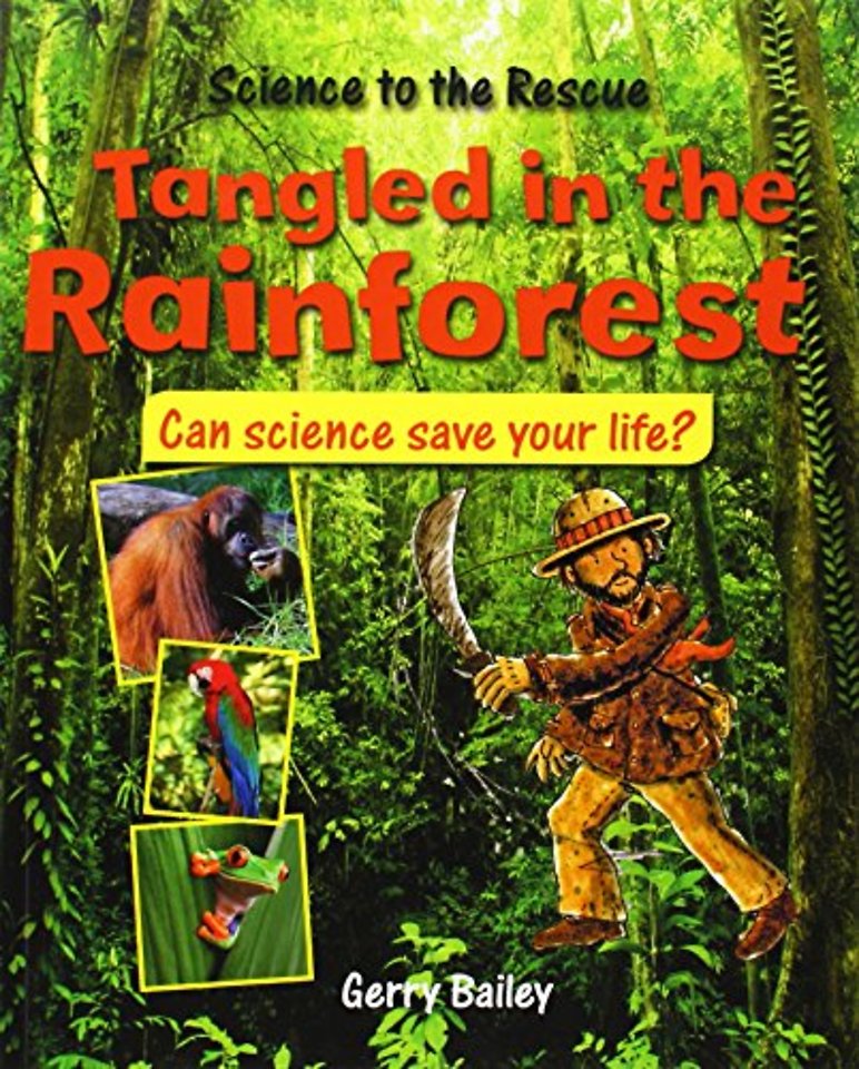 Tangled in the Rainforest