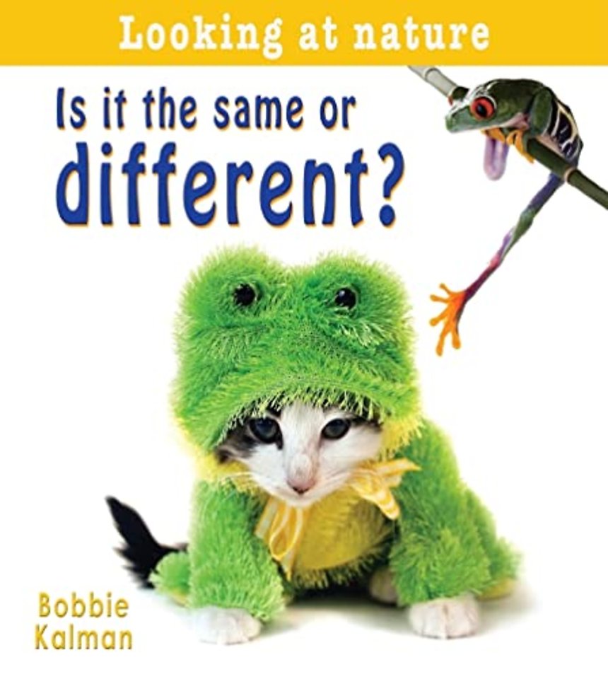 Is It Same or Different