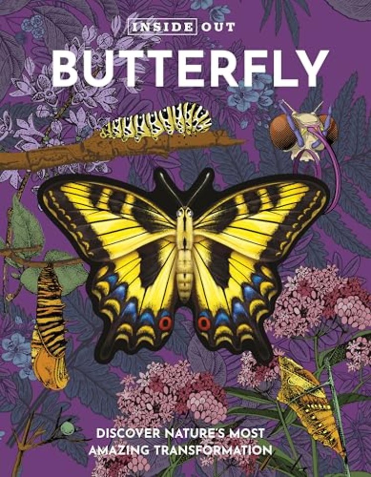 Inside Out Butterfly