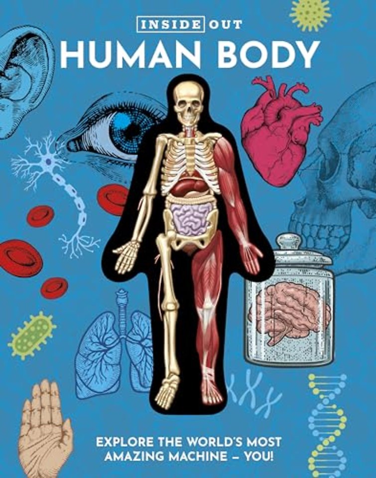 Inside Out Human Body