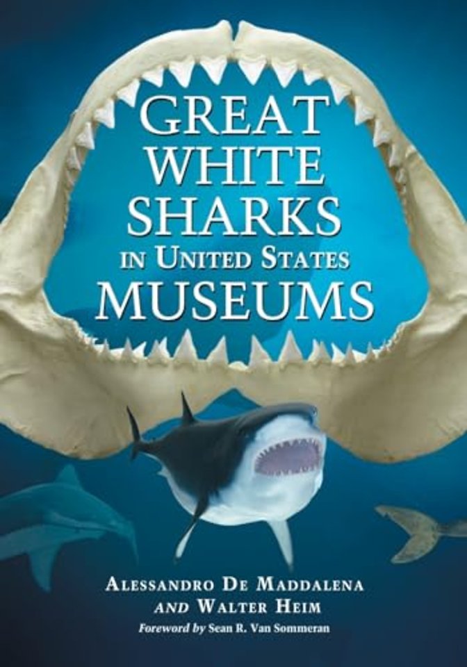 Great White Sharks in United States Museums