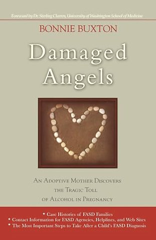 Damaged Angels