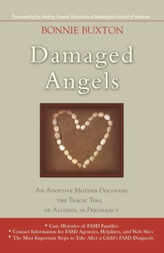 Damaged Angels