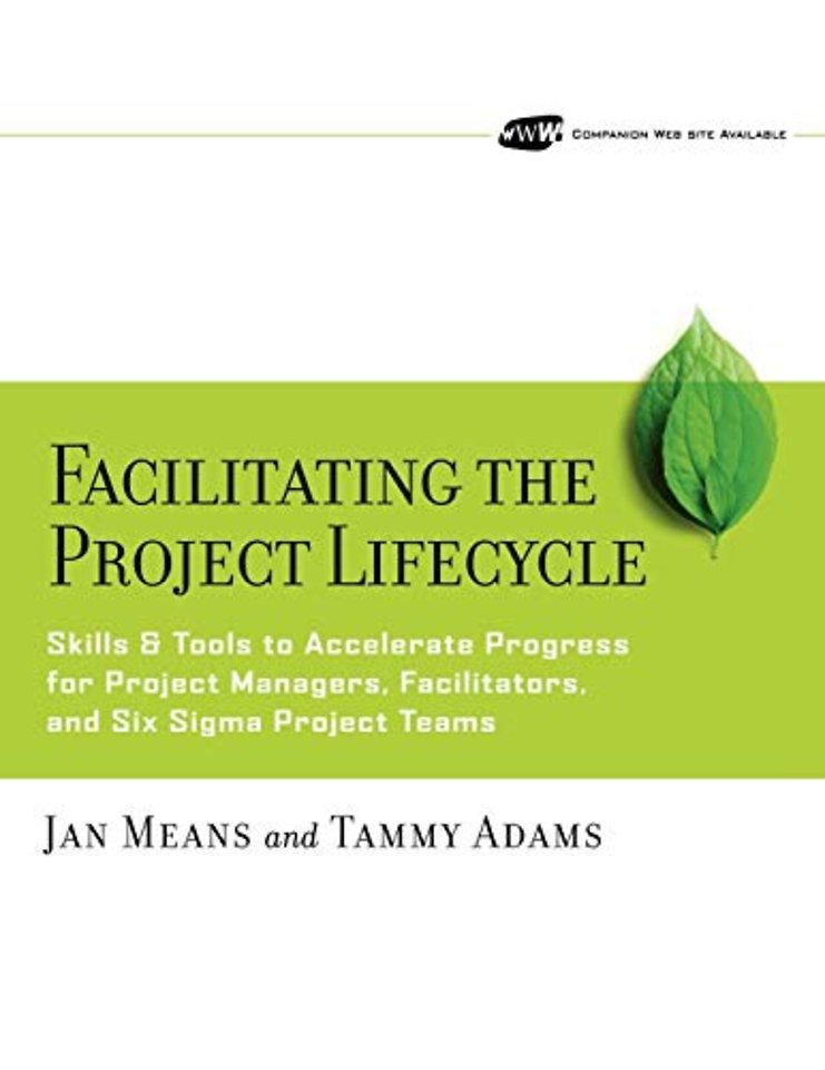 Facilitating the project lifecycle
