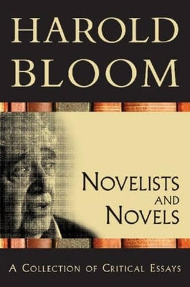 Novelists and Novels – A Collection of Critical Essays