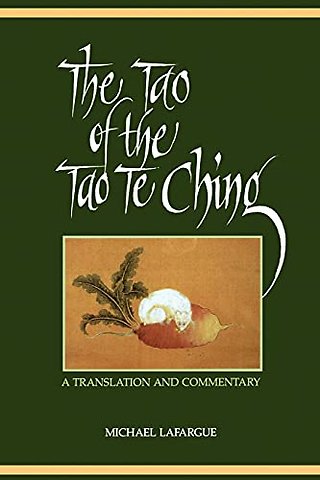 The Tao of the Tao Te Ching