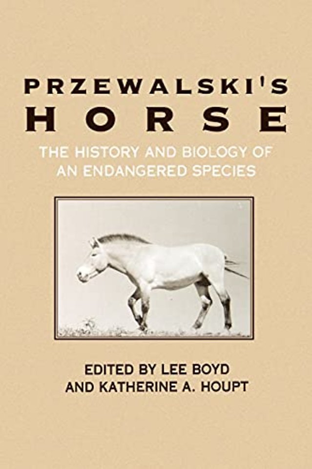 Przewalski's Horse