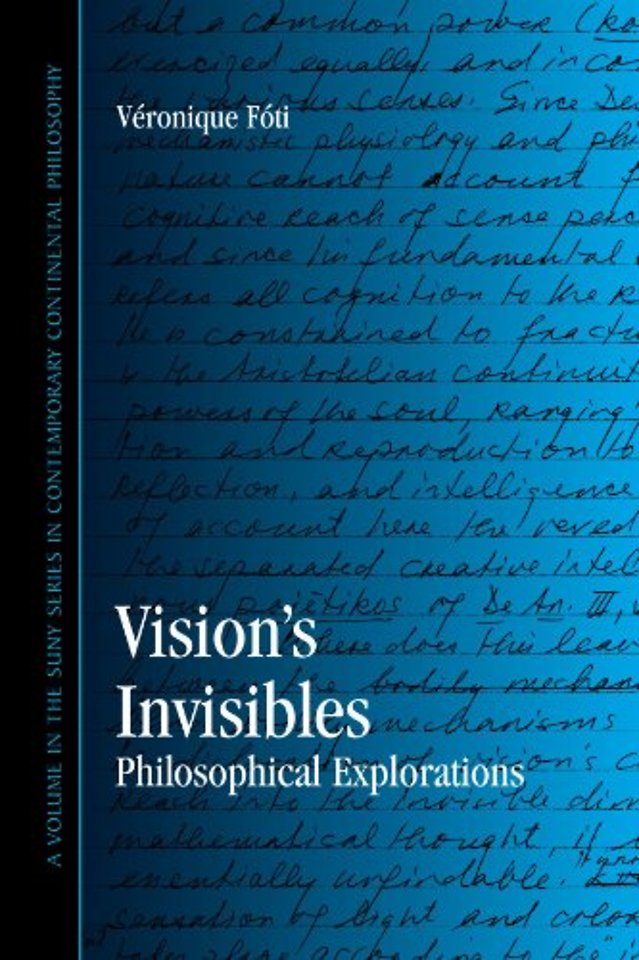Vision's Invisibles