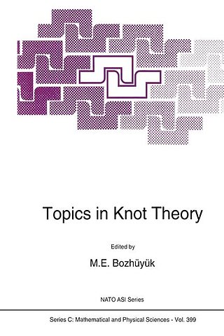 Topics in Knot Theory