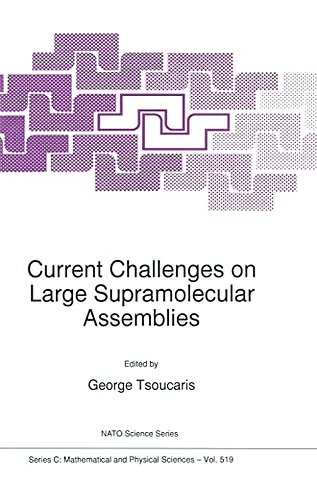 Current Challenges on Large Supramolecular Assemblies