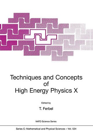 Techniques and Concepts of High Energy Physics X