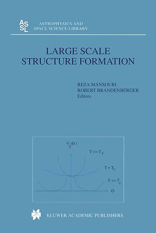 Large Scale Structure Formation