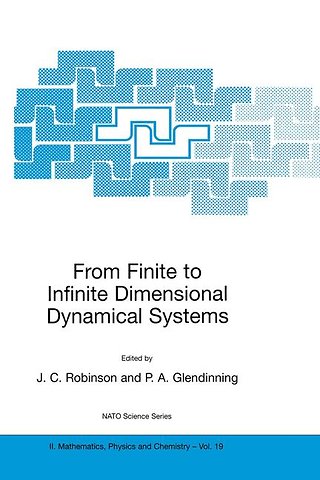 From Finite to Infinite Dimensional Dynamical Systems