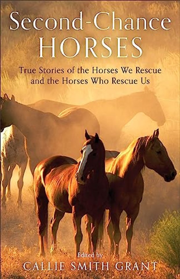 Second–Chance Horses – True Stories of the Horses We Rescue and the Horses Who Rescue Us