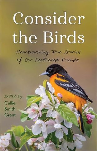 Consider the Birds