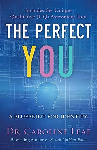 The Perfect You – A Blueprint for Identity