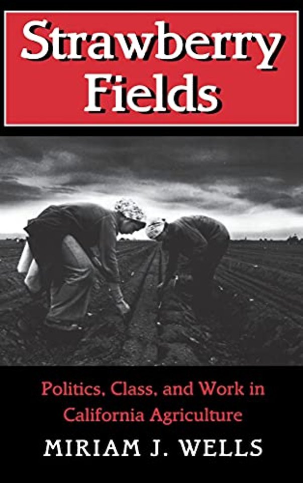 Strawberry Fields – Politics, Class, and Work in California Agriculture
