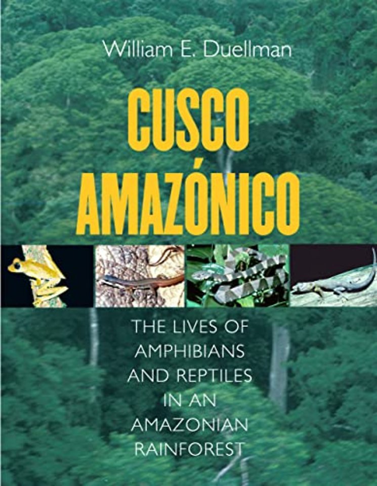 Cusco Amazónico – The Lives of Amphibians and Reptiles in an Amazonian Rainforest