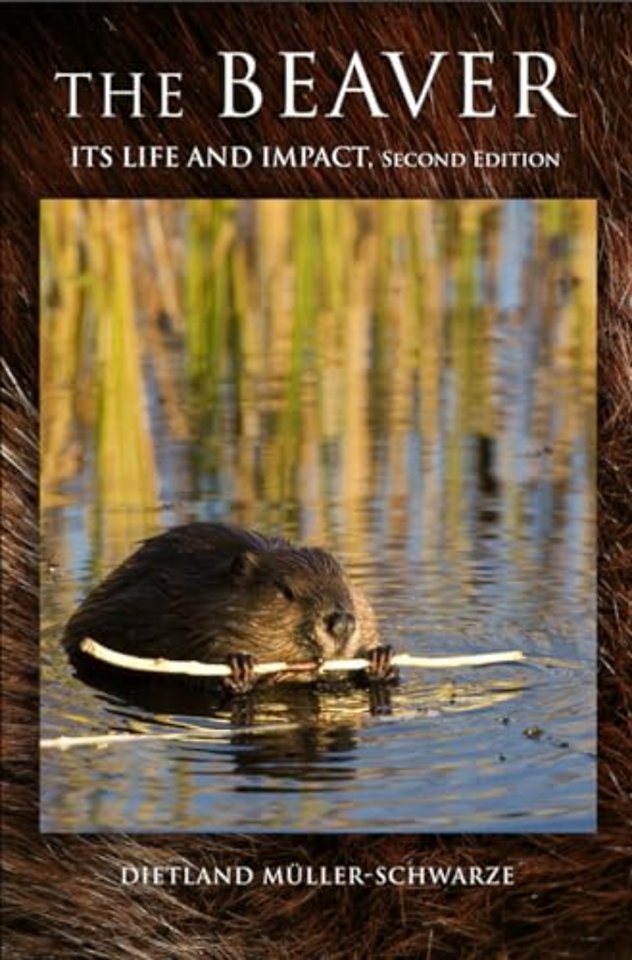 The Beaver – Natural History of a Wetlands Engineer