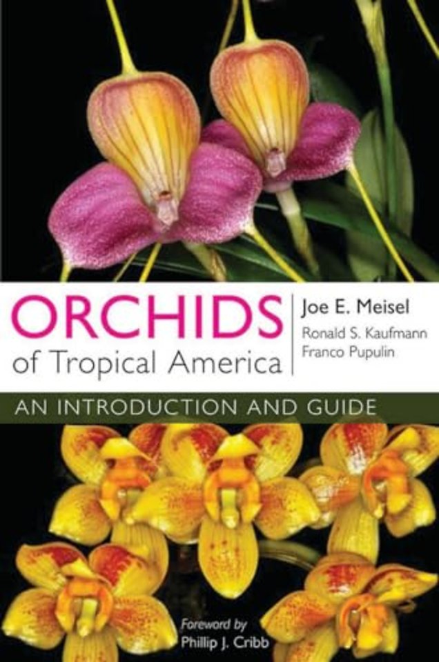 Orchids of Tropical America – An Introduction and Guide