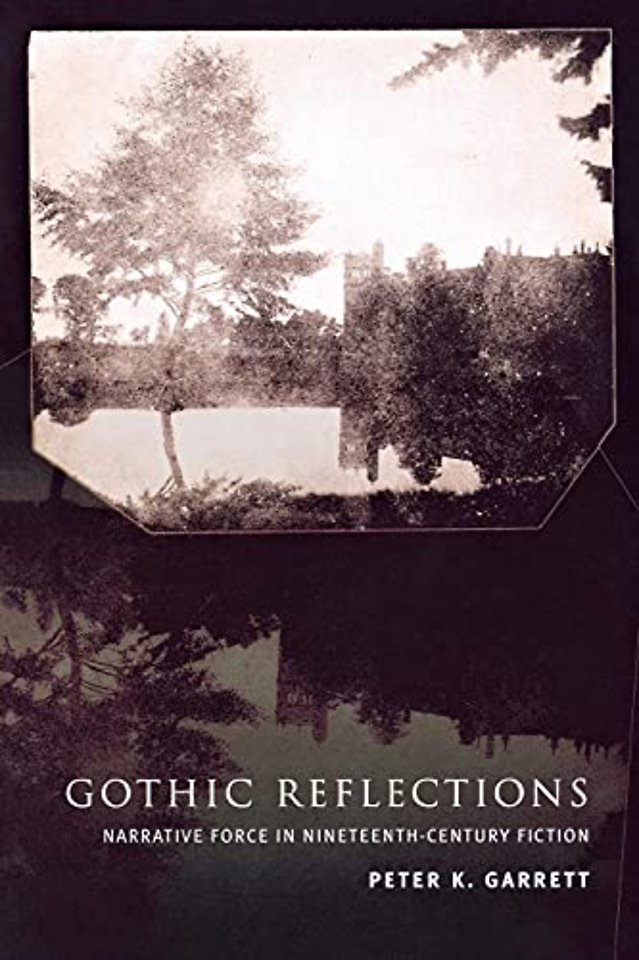 Gothic Reflections – Narrative Force in Nineteenth–Century Fiction