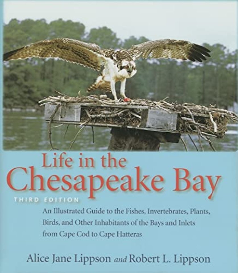 Life in the Chesapeake Bay