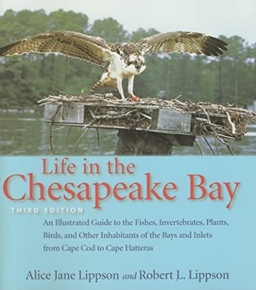 Life in the Chesapeake Bay