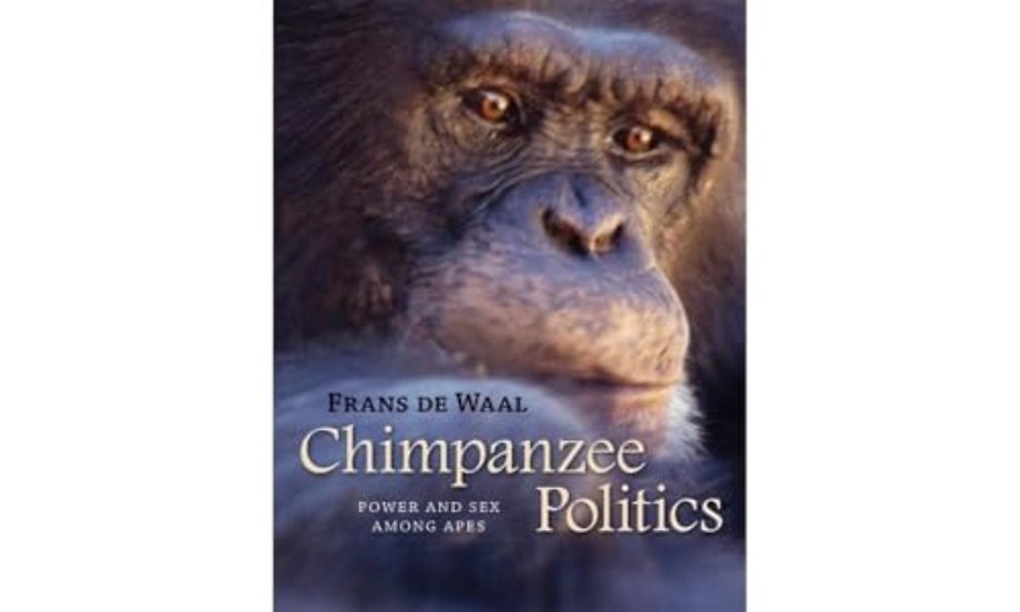 Chimpanzee Politics