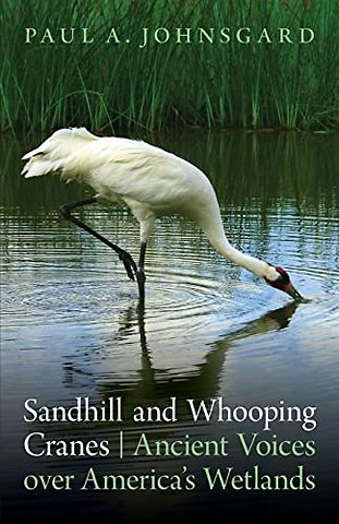 Sandhill and Whooping Cranes – Ancient Voices Over America`s Wetlands