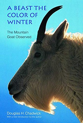 A Beast the Color of Winter – The Mountain Goat Observed
