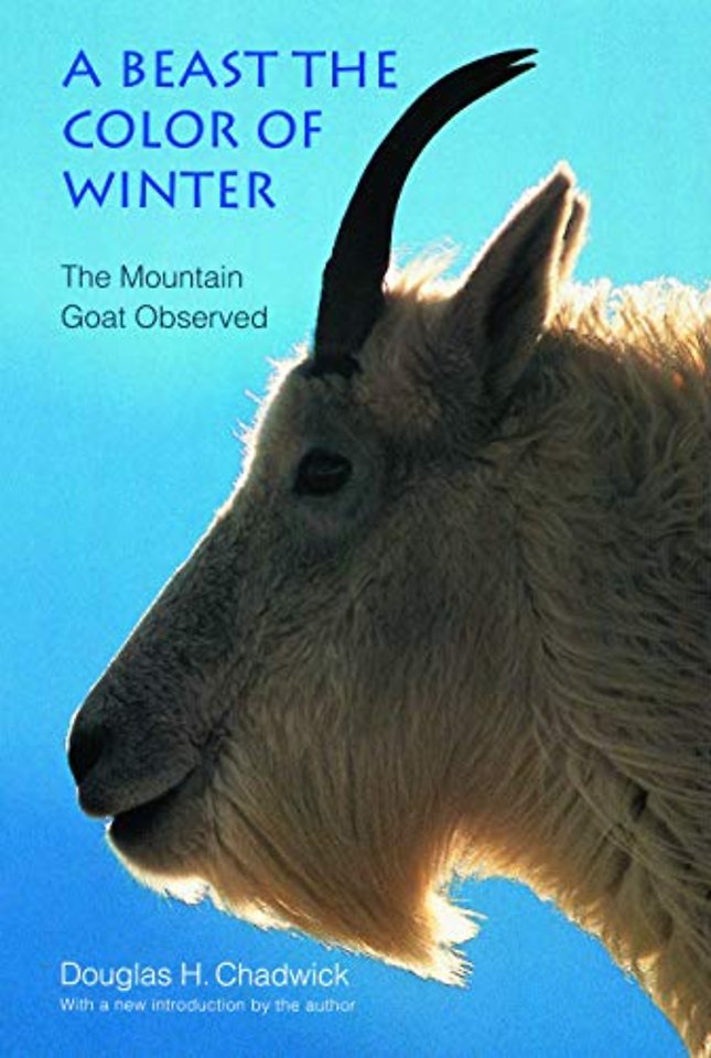 A Beast the Color of Winter – The Mountain Goat Observed
