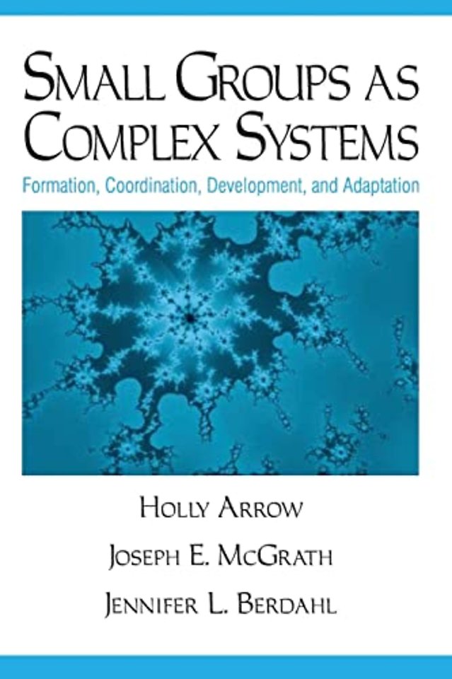 Small Groups as Complex Systems