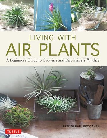 Living with Air Plants