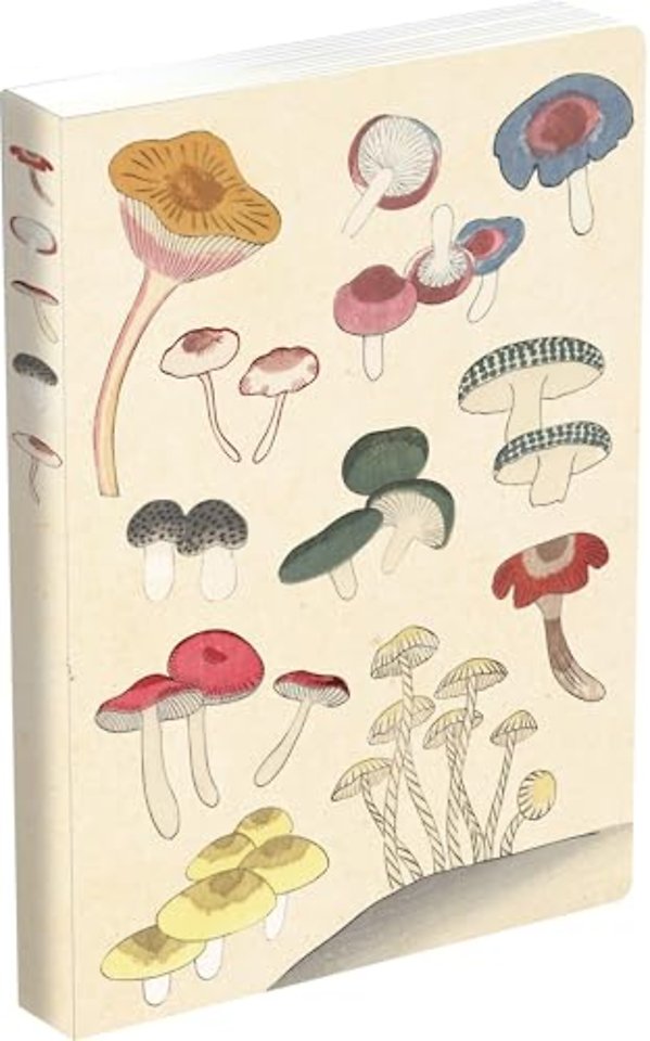 Healing Mushrooms Lined Paperback Journal