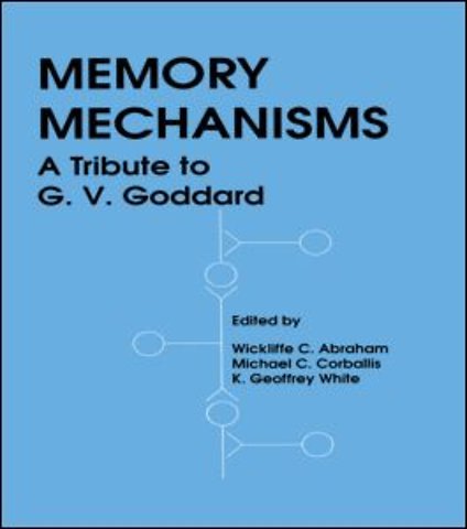 Memory Mechanisms