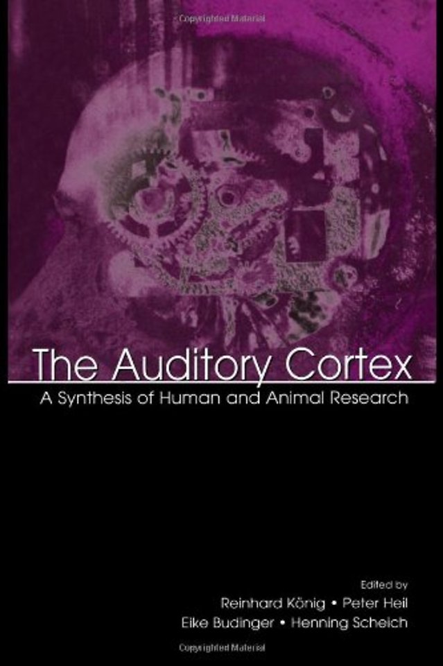 Auditory Cortex